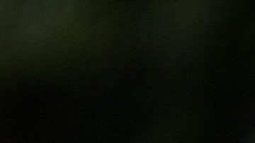 Entrenamiento de la Selección Mexicana en Estados Unidos durante Copa América. Photo/David J. Phillip.