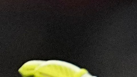 Claudio Bravo está dispitando su séptima Copa América con Chile.