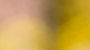 Enner Valencia fue expulsado en el primer partido y no podrá jugar ante Jamaica.