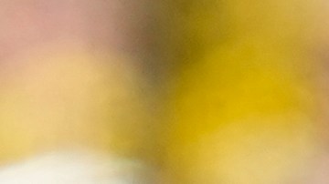 Enner Valencia fue expulsado en el primer partido y no podrá jugar ante Jamaica.