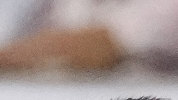 Edson Álvarez sale entre lágrimas del NRG Stadium. (AP Photo/Kevin M. Cox).