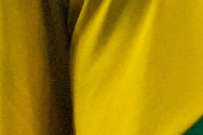 Edson Álvarez se lleva las manos a la cara tras sufrir una lesión a los 28 minutos. (AP Photo/David J. Phillip).