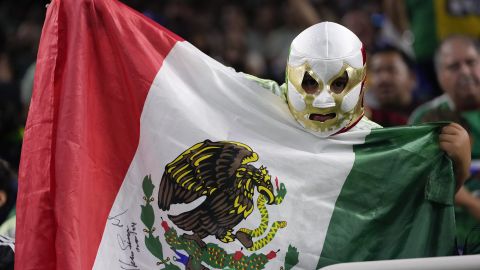 Fan mexicano durante partido de Copa América ante Jamaica en el NRG Stadium. (AP Photo/Kevin M. Cox).