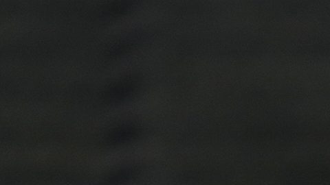 Conmebol reveló el equipo ideal de la primera fecha en la Copa América