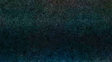 Julian Assange WikiLeaks