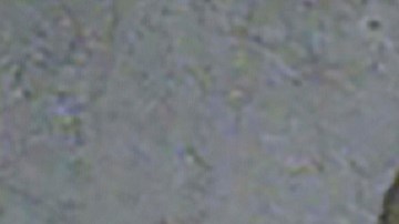 Oklahoma Execution Rojem