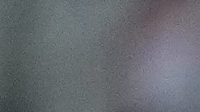 Venezuela celebra triunfo ante México en la Copa América 2024. Photo/Ryan Sun.