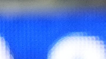 Jugadores de la Vinotinto celebrando gol en Copa América 2024. Photo/Ryan Sun.