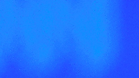 No parece que Biden, de 81 años, esté dispuesto a soltar las riendas del poder.