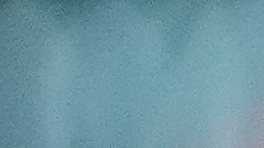 Uruguay suma seis puntos en sus primeros dos encuentros de Copa América.