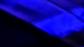 La campaña usó inmediatamente extractos del mitin de Carolina del Norte para promocionar la intervención de Biden en redes sociales.