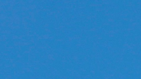 Donald Trump lanzó dura crítica a Joe Biden: “El problema no es su edad, sino su incompetencia”