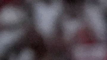 Jude Bellingham celebra con la fanaticada tras marcar su gol ante Eslovaquia.