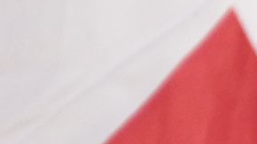 Fanático de Georgia en la Eurocopa 2024. Foto: Martin Meissner.