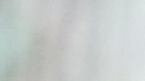 Venezuela sueña con meterse en la semifinal de la Copa América.