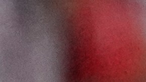 Jugadores de México muestran su frustración tras su eliminación de la Copa América.