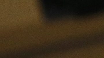 Los fanáticos de los Edmonton Oilers celebran un gol anotado por Ryan Nugent-Hopkins de los Oilers contra los Coyotes de Arizona durante el primer período de un partido de hockey de la NHL el martes 16 de diciembre de 2014 en Glendale, Arizona (Foto AP/Ross D. Franklin).