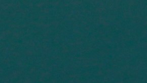 Derek Jeter nació en Nueva Jersey, pero creció en Michigan.