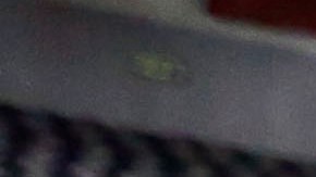 Las Finales de la NBA 2024 serán entre los Boston Celtics y los Dallas Mavericks.