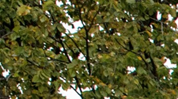 Howard University Hospital