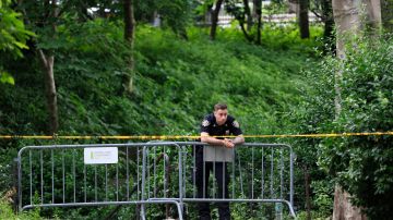 La mujer estaba sola en esa área de Central Park al instante del ataque, pero los investigadores seguían buscando testigos del crimen.