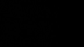 Leonard Ellerbe es el presidente de Mayweather Promotions.