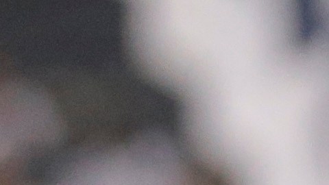 El histórico jugador de la NFL falleció durante sus vacaciones en México.