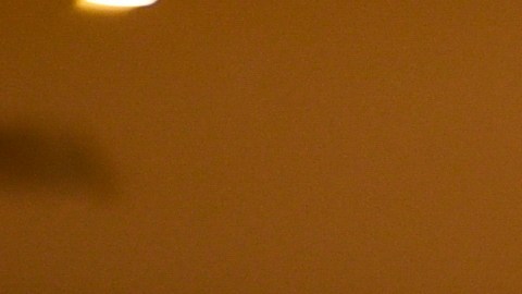 Adamari López posando.