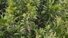 La casa rodante es marca Airstream, modelo Flying Cloud.