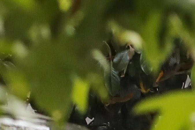 Actualmente Jennifer López no está viviendo con su esposo.