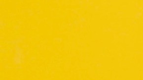 Carlos Adyan y Carlos Quintanilla pospusieron su luna de miel.