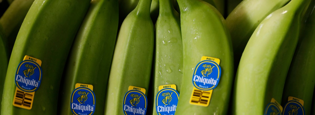 ¿Bananas manchadas de sangre?