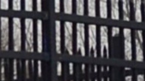 Oficial de Filadelfia herido de gravedad