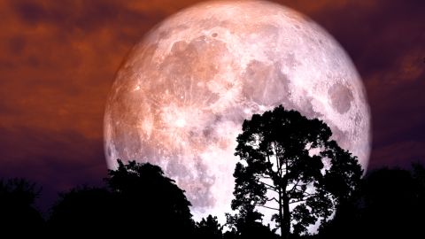 Luna de fresa