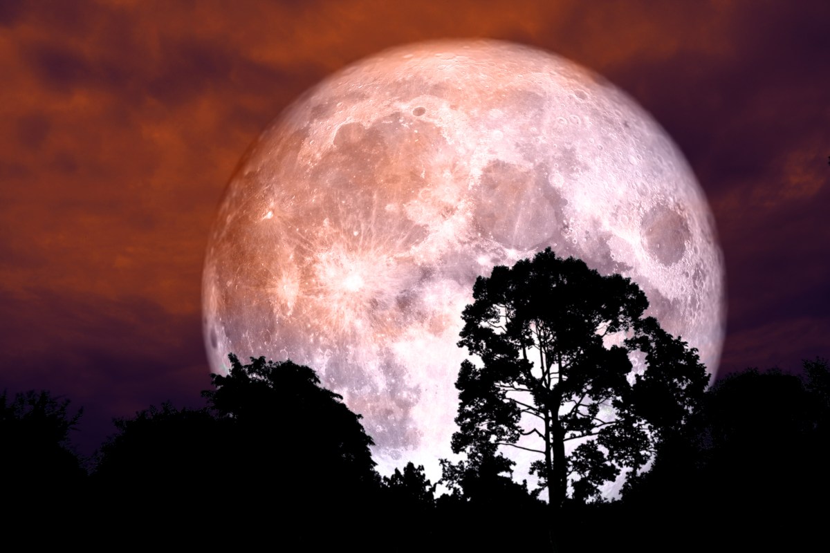 Descubre cuándo y dónde podrás ver la Luna de fresa en 2024 en Estados Unidos