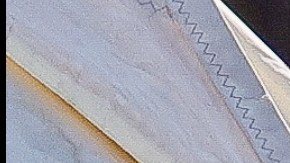 Eiza González disfrutando de sus vacaciones