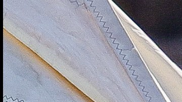 Eiza González disfrutando de sus vacaciones