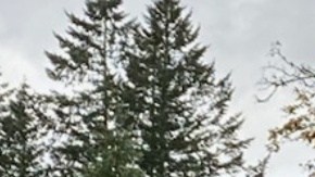 El acusado se encuentra en la cárcel del condado de King en Washington.