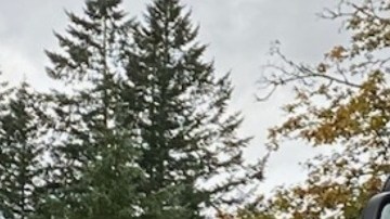 El acusado se encuentra en la cárcel del condado de King en Washington.