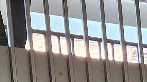 80,000 neoyorquinos participaron en la lotería por ocupar uno de estos apartamentos, ubicados en un complejo que incluye una modera biblioteca pública.