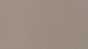 Emily Jane Dickinson y Joshua Coleman Wooters.