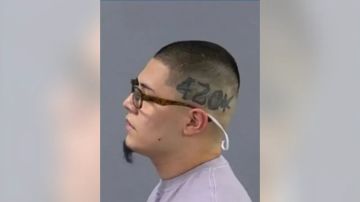 El asesino confeso tiene un tatuaje de "420" y una hoja de marihuana en el lado izquierdo de la cabeza.