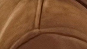 Más inmigrantes indocumentados podrían ser beneficiados con nueva orden de Biden.