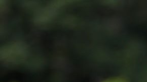 Salomón Rondón, el experimentado delantero que tiene Venezuela para la Copa América 2024.