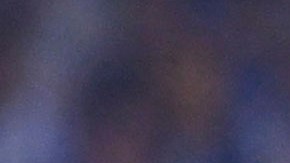 El entrenador decidió aclarar todos los rumores sobre su salida de los Tigres de la UANL.