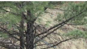 Incendio en Nuevo Mexico