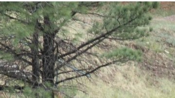 Incendio en Nuevo Mexico