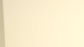 La entidad Red Nacional de Protección, formada por doce organizaciones sociales en Guatemala dieron una conferencia.