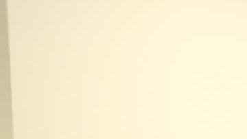 La entidad Red Nacional de Protección, formada por doce organizaciones sociales en Guatemala dieron una conferencia.