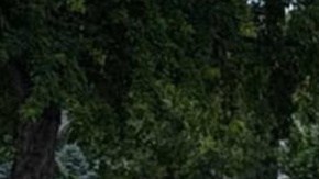 Inundaciones en Spencer, Iowa. 23 de junio de 2024